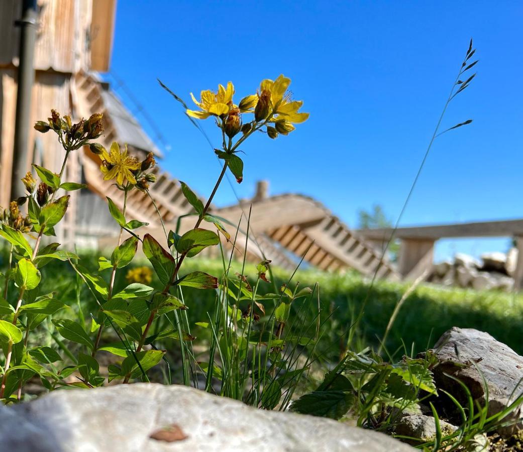 Chalet Velika Planina - I Feel Alps Stahovica Buitenkant foto